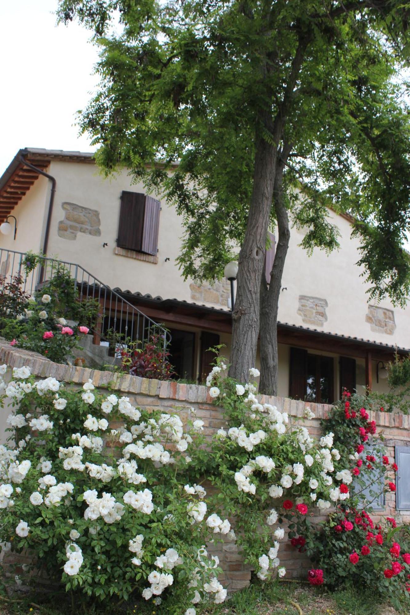 Agriturismo La Valle Del Vento Urbino Exterior photo
